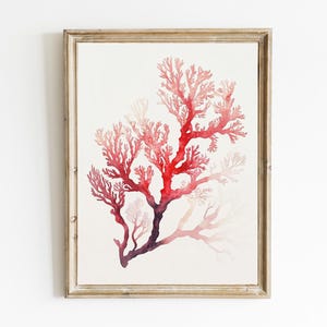 Red Coral Watercolor | Minimalist Coastal Print | Beach House Wall Art | Watercolor Nautical Decor | Modern Print | PRINTABLE | E788