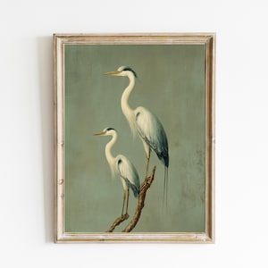 Puede incluir: Impresión enmarcada con dos garzas posadas en una rama sobre un fondo verde azulado apagado. Las aves tienen plumaje blanco y azul, cuellos y picos largos. El marco es de madera clara y envejecida.