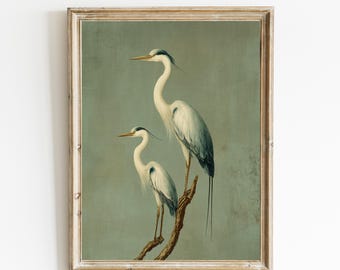 May include: Framed print featuring two herons perched on a branch against a muted teal background. The birds have white and blue plumage with long, slender necks and beaks. The frame is a light, distressed wood.