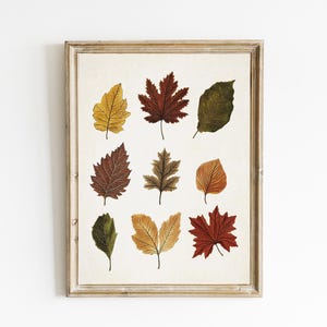 Autumn Leaves | Autumn Botanical Print | Leaf Botanical Wall Decor | Dining Room Wall Art | DIGITAL Download | E968