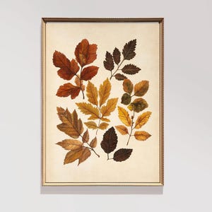 Vintage Autumn Botanical | Fall Botanical Print | Leaf Botanical Wall Decor | Dining Room Wall Art | DIGITAL Download | E511