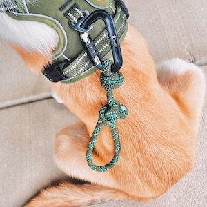 Scramble Handle | Traffic Leash, Off Leash, Hiking Leash, Rope Leash, Carabiner Leash, Climbing Rope Leash, Leash Handle