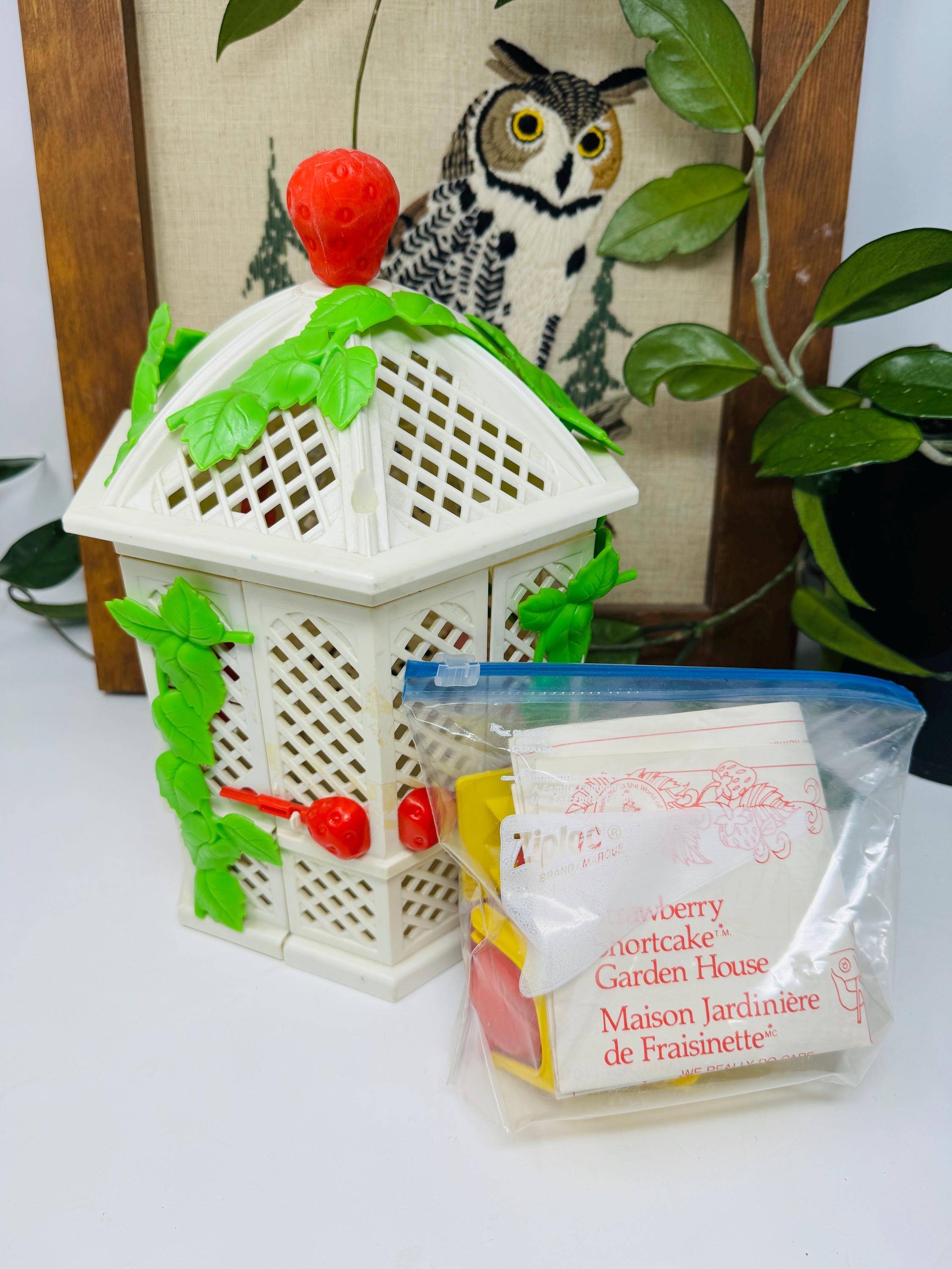 Strawberry shortcake garden house sales