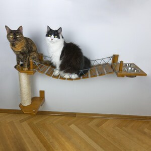Può includere: Un ponte per gatti in legno con un tiragraffi e ciotole per cibo. Due gatti sono sul ponte. Uno è tartarugato, l'altro bianco e nero. Il ponte è fissato a un muro.