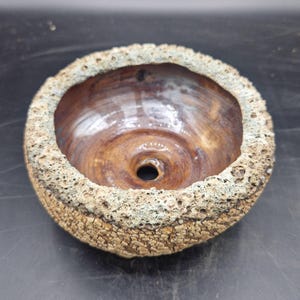 May include: A round ceramic bowl with a smooth, glossy brown interior featuring a central drainage hole. The exterior rim has a thick, porous, and textured surface with a mottled beige and light green finish, resembling natural stone or bark.