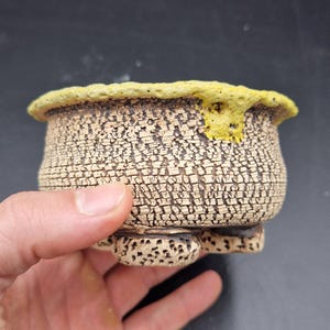 Puede incluir: Pequeña maceta de cerámica hecha a mano con una superficie texturizada y agrietada. La maceta tiene una base beige con grietas marrones oscuras y un borde amarillo brillante. La maceta se sostiene en una mano, mostrando su diseño artesanal único.