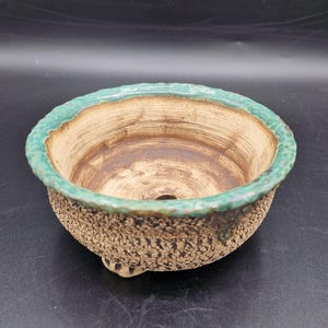 Peut inclure: Un pot à bonsaï en céramique fait à la main avec un extérieur texturé et moucheté dans des tons de marron et de beige. Le bord est d'un vert turquoise vif. L'intérieur est brun clair avec un trou de drainage. Le pot a trois petits pieds.