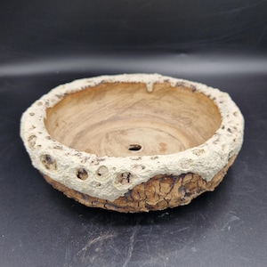 May include: A round, handcrafted ceramic planter with a textured, off-white rim and a natural wood-toned interior. The planter's exterior features a rough, bark-like texture, and a drainage hole is visible at the bottom.