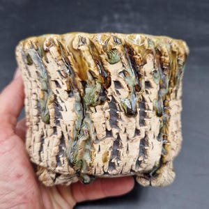 Può includere: Un vaso cilindrico in ceramica con una superficie esterna profondamente strutturata simile alla corteccia in un tono beige chiaro. Il bordo e i lati presentano uno smalto decorativo nei toni del marrone scuro e del verde salvia.