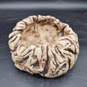 Può includere: Una ciotola in ceramica rotonda formata a mano con un bordo strutturato e irregolare. L'esterno e l'interno presentano una tavolozza di colori bicolore beige chiaro e marrone scuro, con profonde fessure e pieghe che creano un aspetto organico.
