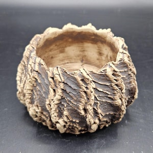 Puede incluir: Una pequeña maceta redonda de cerámica con un exterior texturizado en forma de corteza. La maceta es de color beige claro con acentos marrones oscuros en las grietas, creando una estética natural y terrosa. El interior es liso y marrón claro.