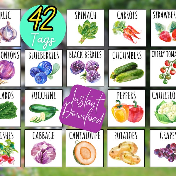 42 Printable VEGGIE Garden Tags / Plant Labels Fruit Veggie / Spring Planting Gardening / Labels for Seeds or Seed Starting / PLANT Grow PDF