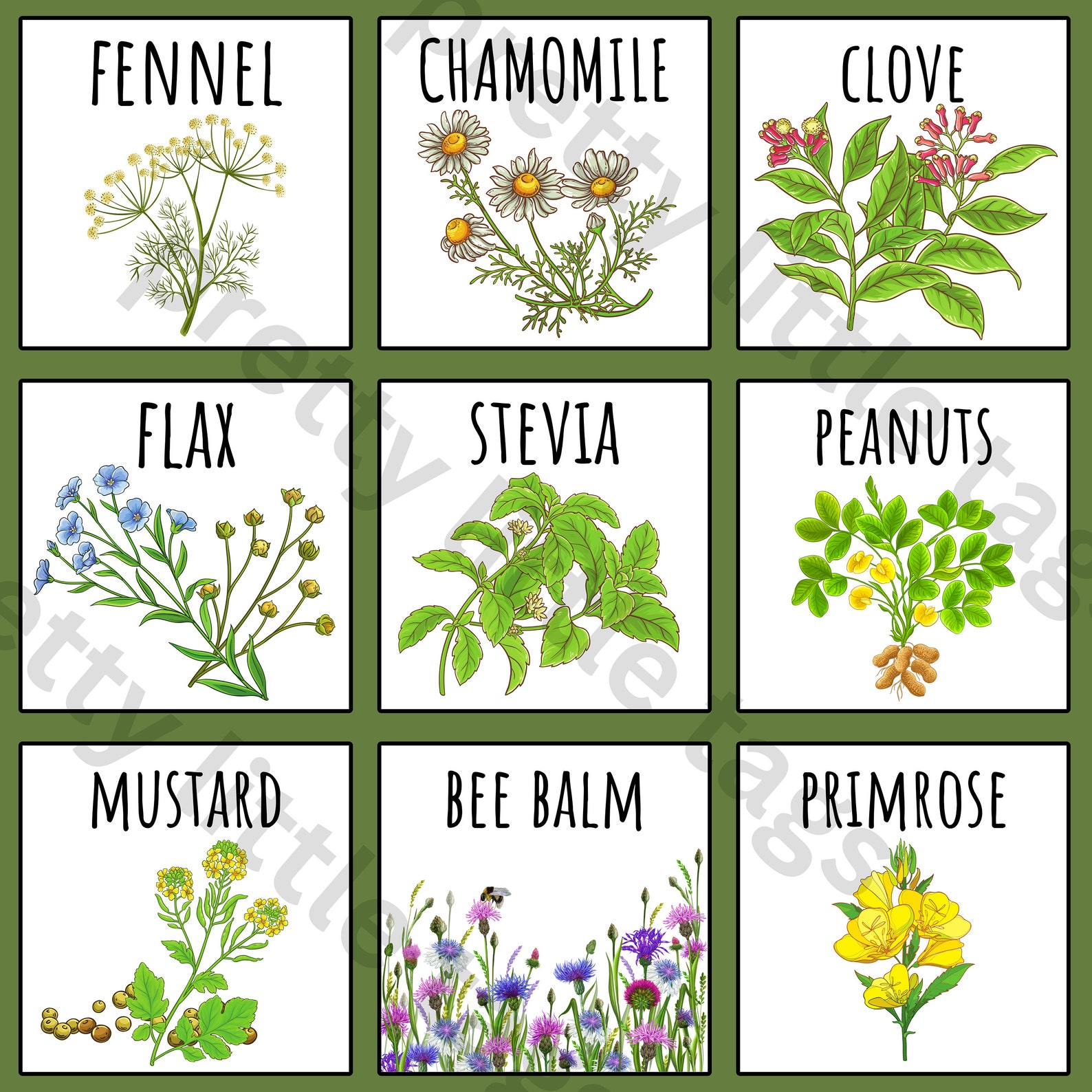 32 Printable HERB Garden Tags / Plant Labels Fruit Veggie / Spring