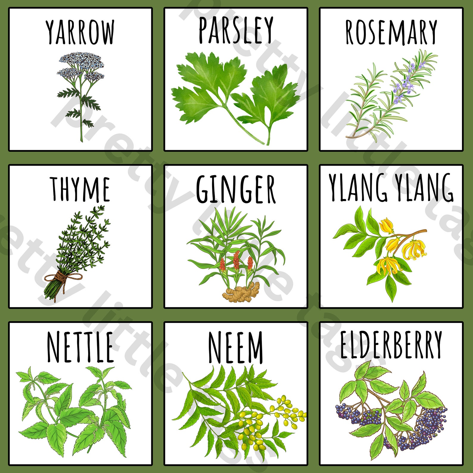 32 Printable HERB Garden Tags / Plant Labels Fruit Veggie / Spring