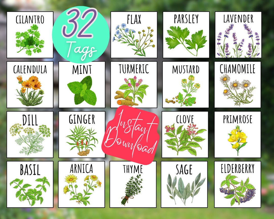 32 Printable HERB Garden Tags / Plant Labels Fruit Veggie / Spring