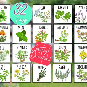 32 Printable HERB Garden Tags / Plant Labels Fruit Veggie / Spring ...