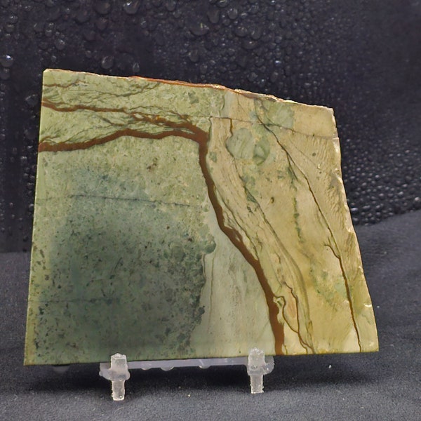 Owyhee Picture Jasper from Oregon, Lapidary Slab, natural stone for cabbing, not polished