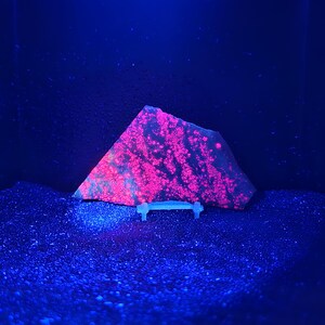 May include: A fluorescent rock sample, triangular in shape, glows with bright pink spots against a dark background. The rock rests on a small, light-colored stand, illuminated by a blue light, creating a striking contrast.