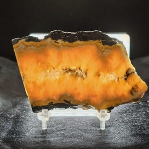 May include: A translucent, backlit mineral slab featuring a vibrant orange and yellow center with dark, jagged, black edges. The specimen is held upright by a clear plastic display stand, showcasing its natural crystalline texture and banding.