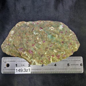 May include: A rough, irregularly shaped rock specimen featuring a textured, olive-green matrix embedded with numerous small, vibrant magenta-colored crystals. A metal ruler placed along the bottom edge shows the specimen is approximately 5.5 inches wide.