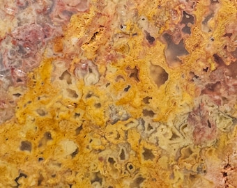 Red and Yellow Lace Agate AKA Australian Crazy Lace from Australia, Lapidary Slab, natural stone for cabbing, not polished