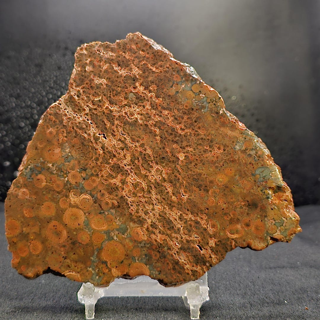 Birds Eye Rhyolite From Utah, Lapidary Slab, Natural Stone for Cabbing ...