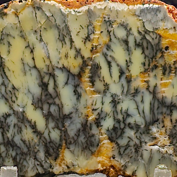 Dendritic Opal from Australia, Lapidary Slab, natural stone for cabbing, not polished