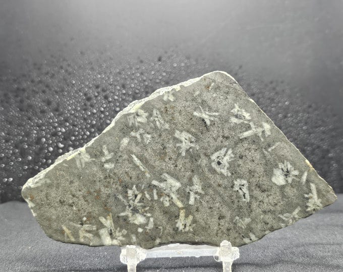 Chinese Writing Stone From California, Lapidary Slab, Natural Stone for ...