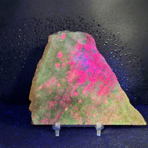 May include: A slab of raw, natural stone with a rough, irregular shape. The stone has a green base color with vibrant pink and purple fluorescent mineral deposits. It is displayed on a clear plastic stand against a dark blue background.