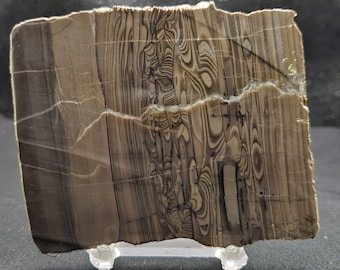 Zebra Coffee Rock from China, Lapidary Slab, Stabilized in Cactus Juice, TAPERED, natural stone for cabbing, not polished