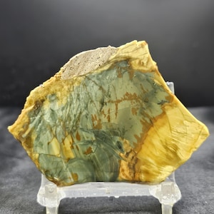 May include: A polished, irregularly shaped stone with a mix of colors. The stone features areas of green, yellow, and brown, with a rough, textured edge. It is displayed on a clear stand, showcasing its natural beauty.
