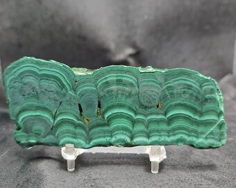 Malachite from Congo, Lapidary Slab, Stabilized in Cactus Juice, natural stone for cabbing, not polished