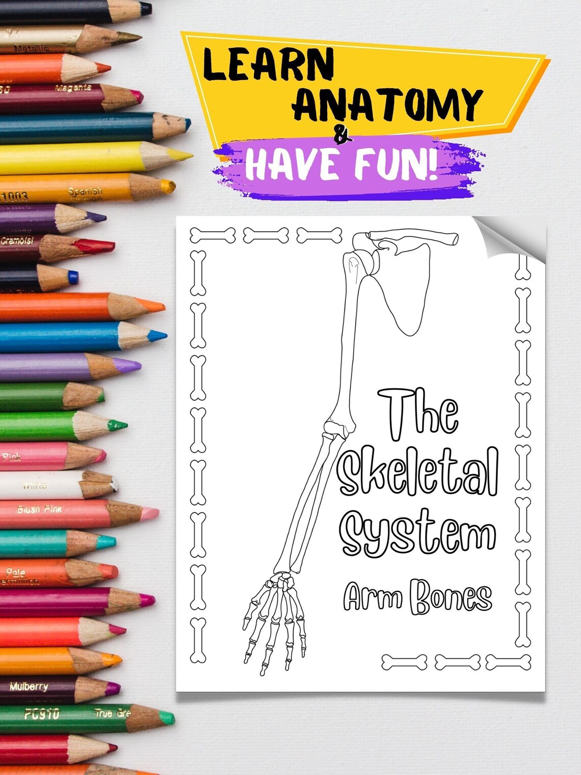 Arm Coloring Sheets Learn Basic Anatomy Instant Download - Etsy