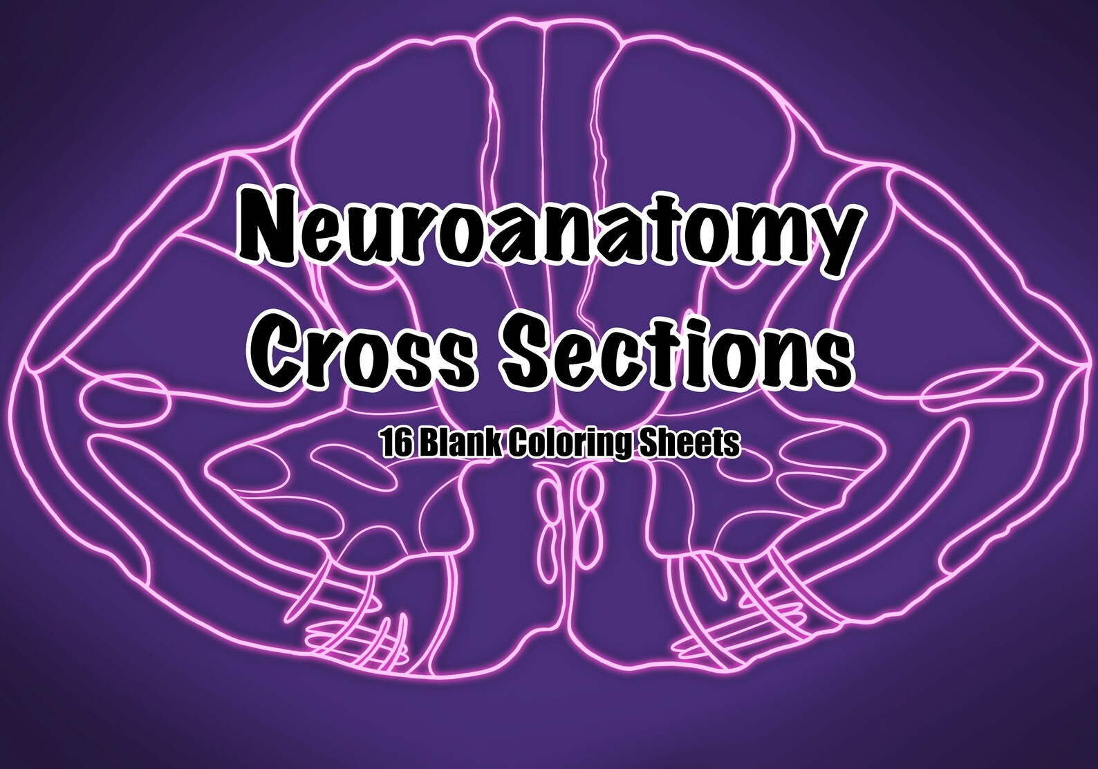 Neuroanatomy Cross Section Coloring Pages For Medical School Instant neuroanatomy-cross-section-coloring-pages-for-medical-school-instant