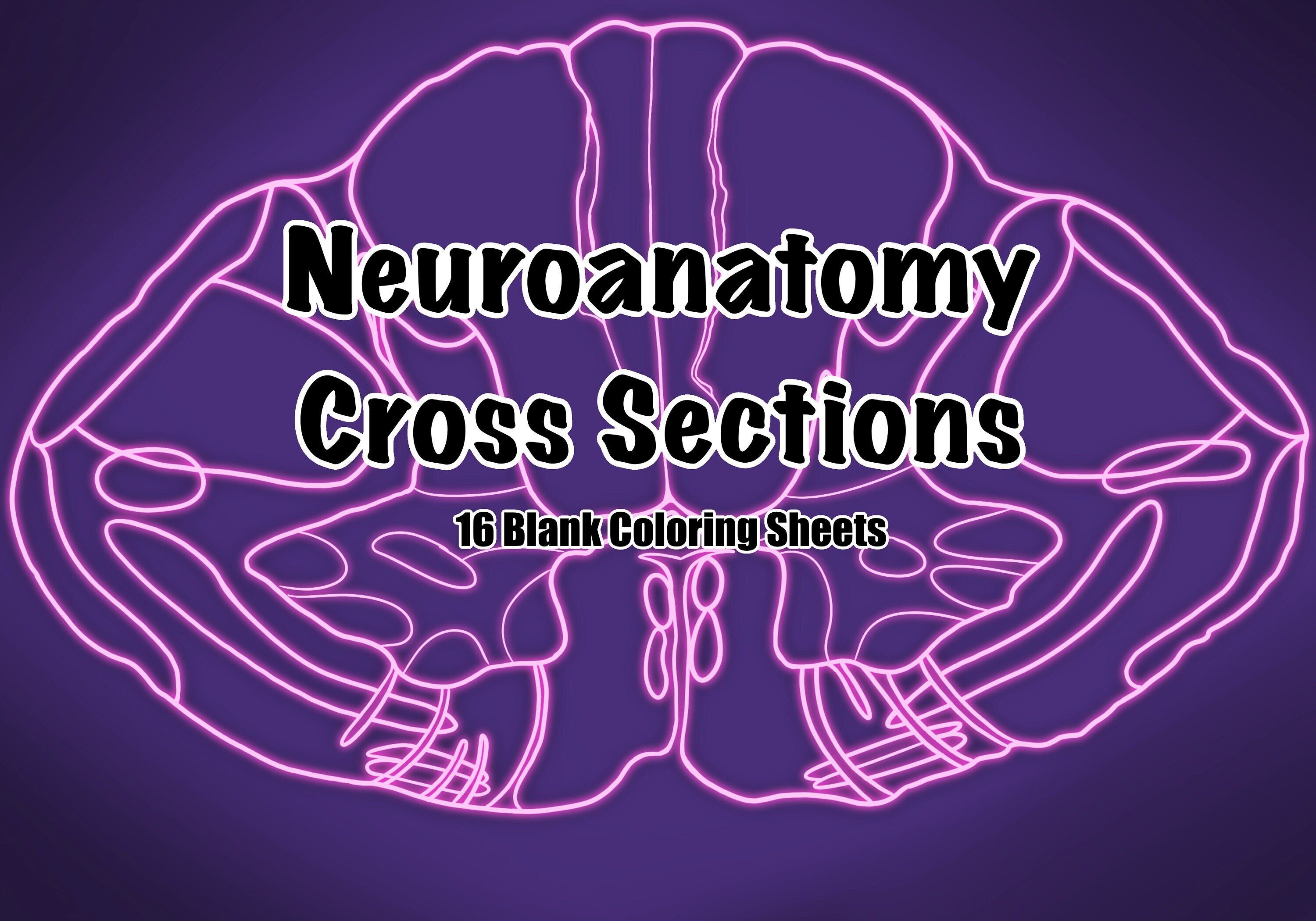 Neuroanatomy Cross Section Coloring Pages For Medical School Instant neuroanatomy-cross-section-coloring-pages-for-medical-school-instant