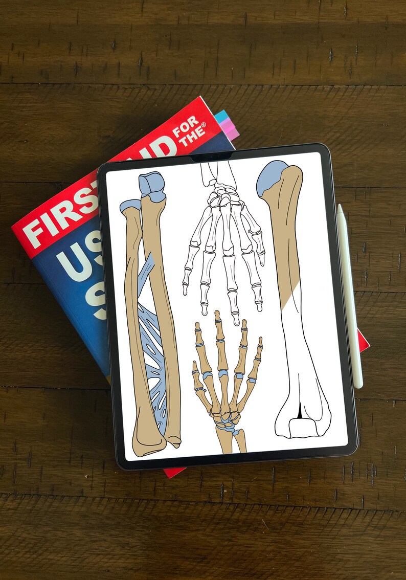Anatomical Skeletal Hand Printable Coloring Sheet for Students and Teachers - Etsy