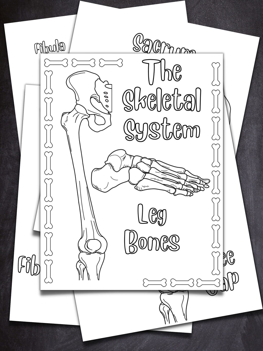Leg Bone Coloring Book Instant Download PDF - Etsy UK