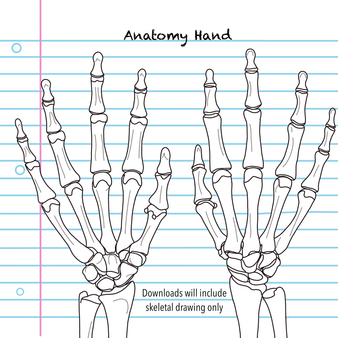 Anatomical Skeletal Hand Printable Coloring Sheet for Students and Teachers - Etsy