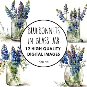 Bluebonnets in Glass Jar Watercolor - 12 High Quality JPGs - Digital Download - Floral Wildflower Clip Art Digital Paper Craft Printable