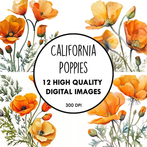 California Poppies Watercolor - 12 High Quality JPGs - Digital Download - Floral Wildflower Clip Art Digital Paper Craft Printable