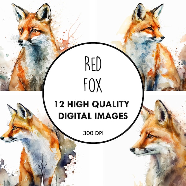 Red Fox Watercolor - 12 High Quality JPGs - Digital Download - Foxes Cute Adorable Clip Art