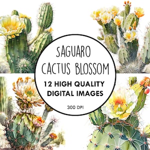 Saguaro Cactus Blossom Aquarelle - 12 JPG de haute qualité - Téléchargement numérique - Floral Wildflower Clip Art Digital Paper Craft Printable
