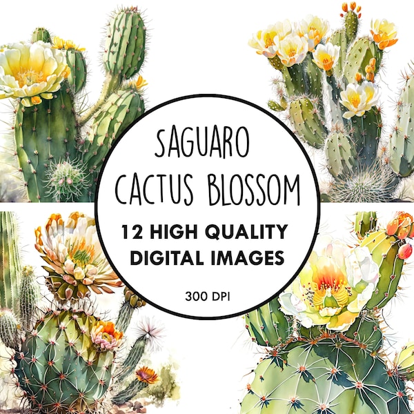 Saguaro Cactus Blossom Watercolor - 12 High Quality JPGs - Digital Download - Floral Wildflower Clip Art Digital Paper Craft Printable