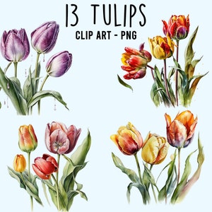 Watercolor Tulips Clipart - Easter Spring Floral Digital Art Card ...