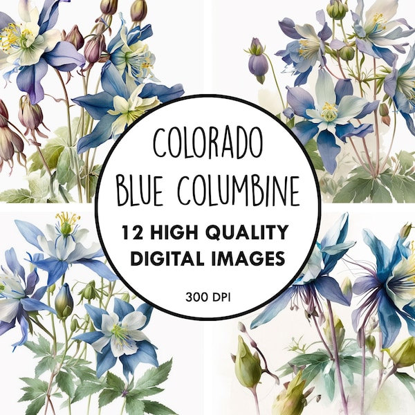 Colorado Blau Akelei Blumen Aquarell - 12 hochwertige JPGs - digitaler Download - Blumen Wildblumen Clip Art Papier Handwerk zum ausdrucken