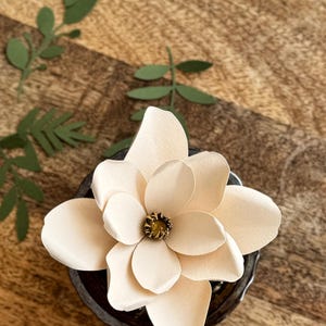 Modelo de flor de papel, pequenas flores de papel, SVG, arquivo de estúdio, flores de papel para berçário, decoração de casamento e casa faça você mesmo, vitrine, artesanato, PNG