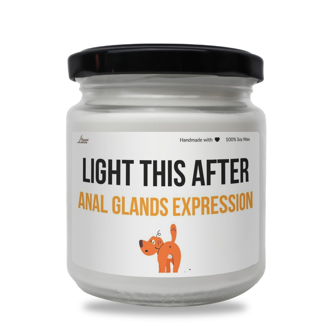 Light After Anal Glands Expression Scented Soy Candle Best Vet Photo Inspiration