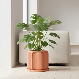 May include: A Monstera plant with large, split green leaves in a peach-coloured, ribbed planter and saucer. The plant is indoors, with a neutral background and wooden floor. The planter is approximately 25 cm in diameter.