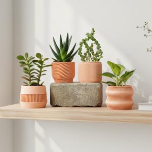 Peach Set of 4 Mini Planters, Small Succulent Pots, Air Plant Holders, Plant Cutting Starter Pots