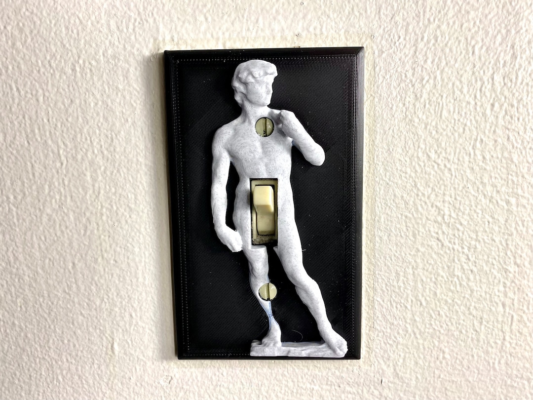Michelangelo's David Light Switch Cover, Funny 3D Printed Sculpture Etsy